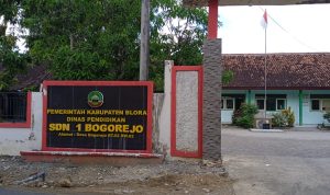 IMG-20250911-WA0005