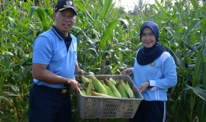 IMG-20251101-WA0018