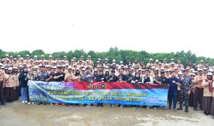 IMG-20260208-WA0047
