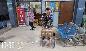 IMG-20260818-WA0003